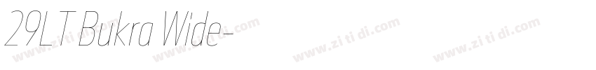 29LT Bukra Wide字体转换